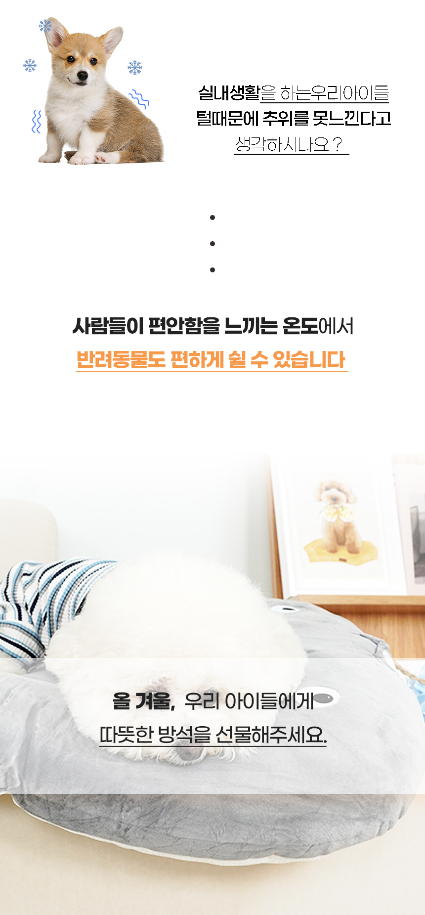 고래펫_일반 (3).jpg