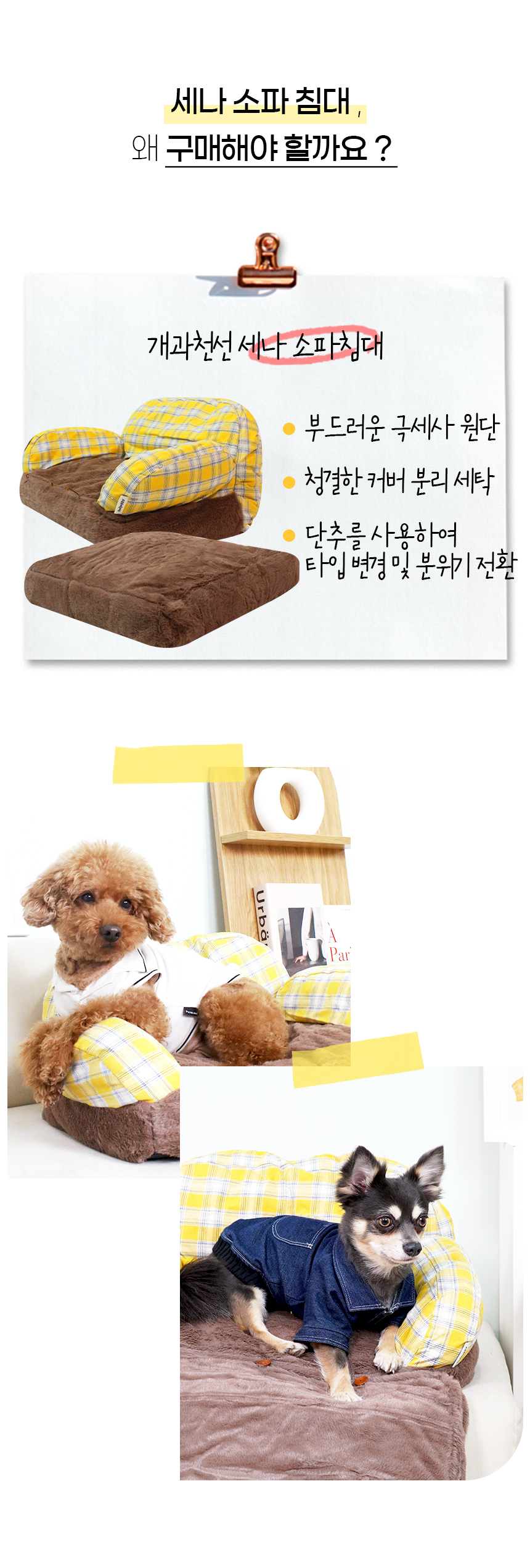 세나_일반 (6).jpg