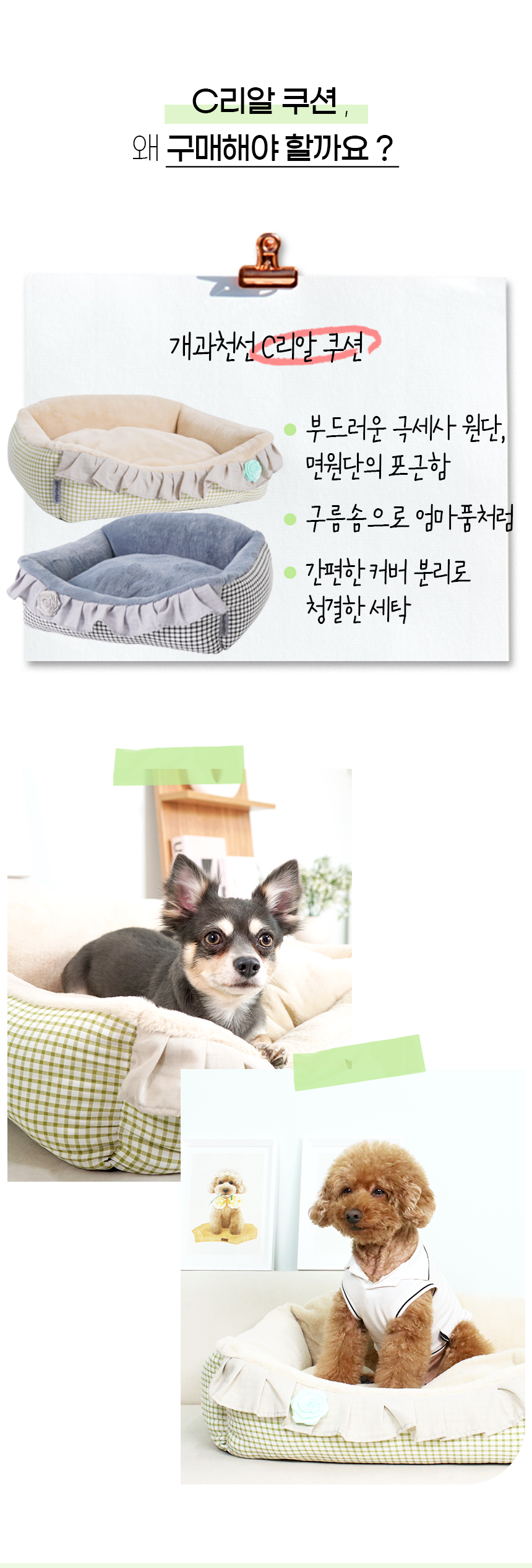 C리알-쿠션_까르띠쿠션방석-분할_06.jpg