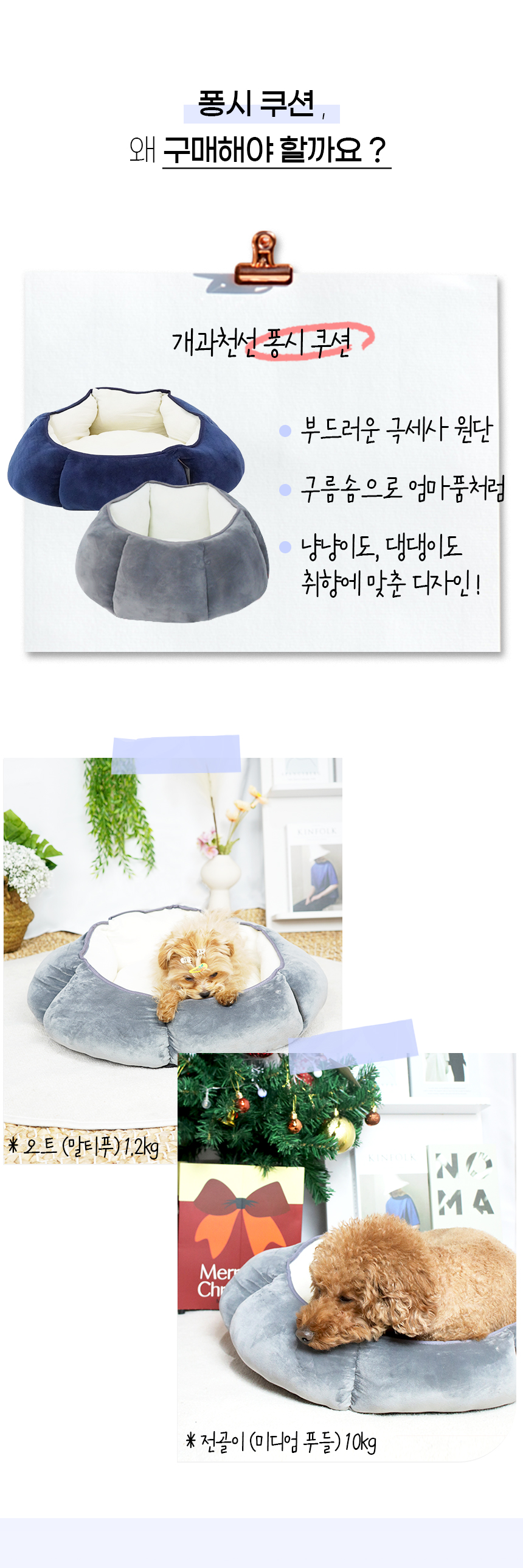 퐁시쿠션_일반 (6).jpg
