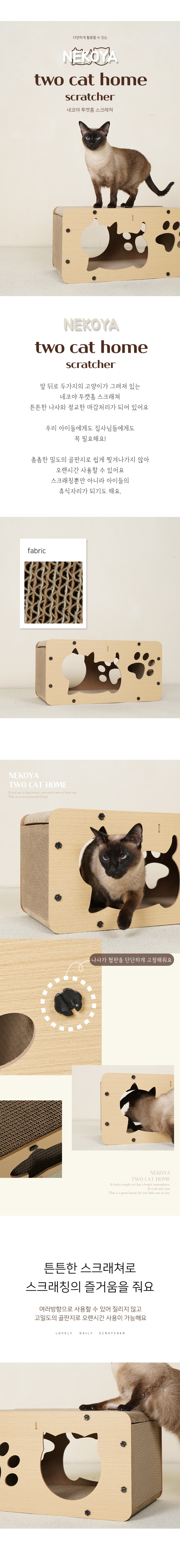 TWOCATHOME1.jpg