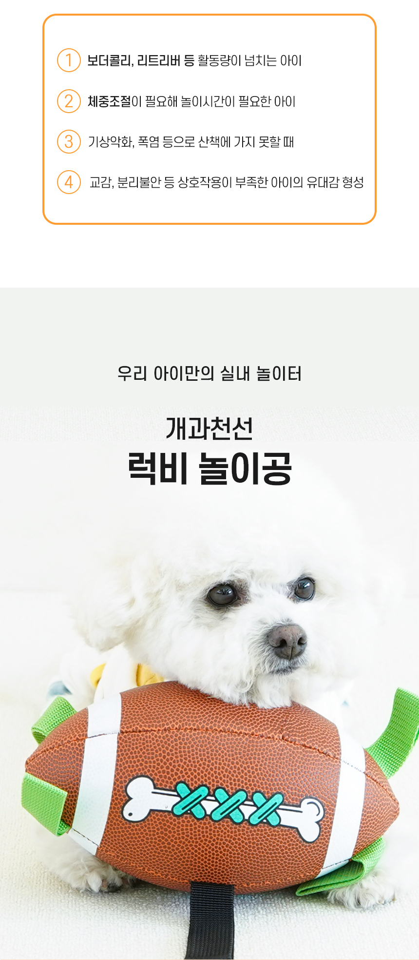 럭비공놀이_02.jpg