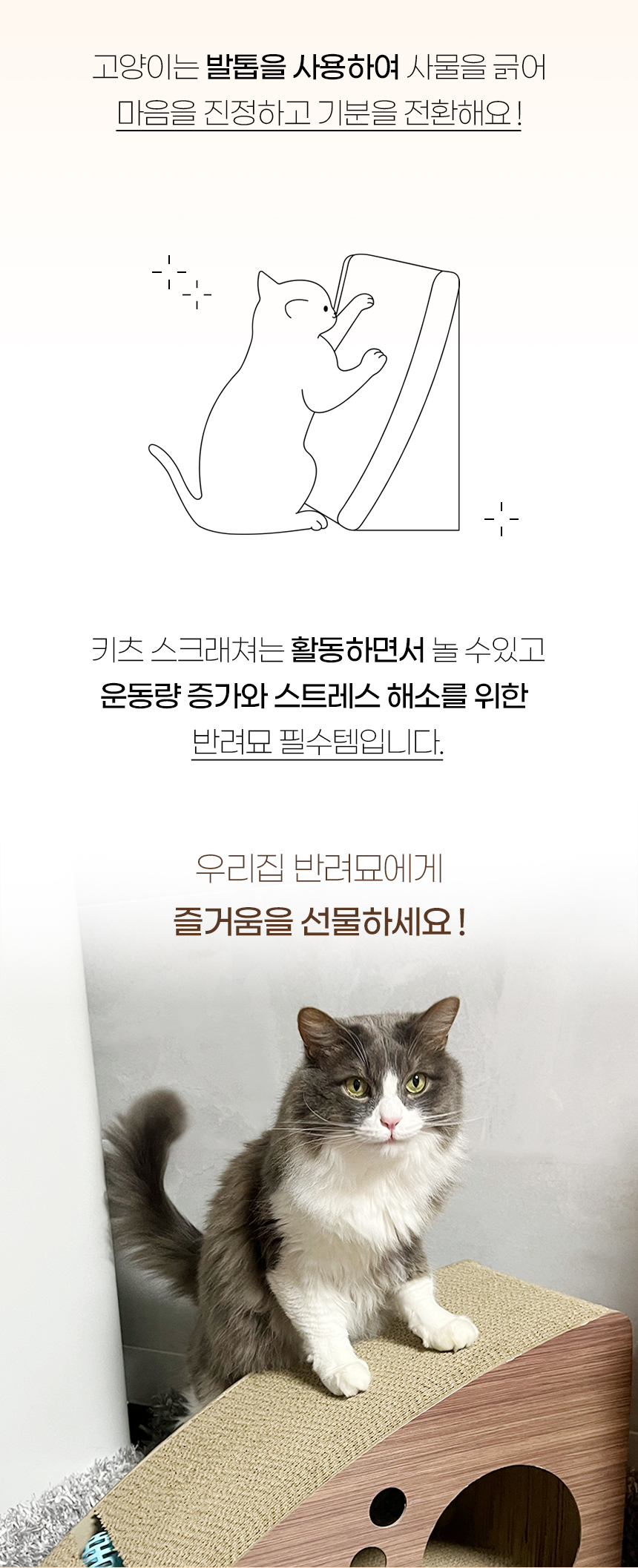 키츠스크래쳐_ (2).jpg