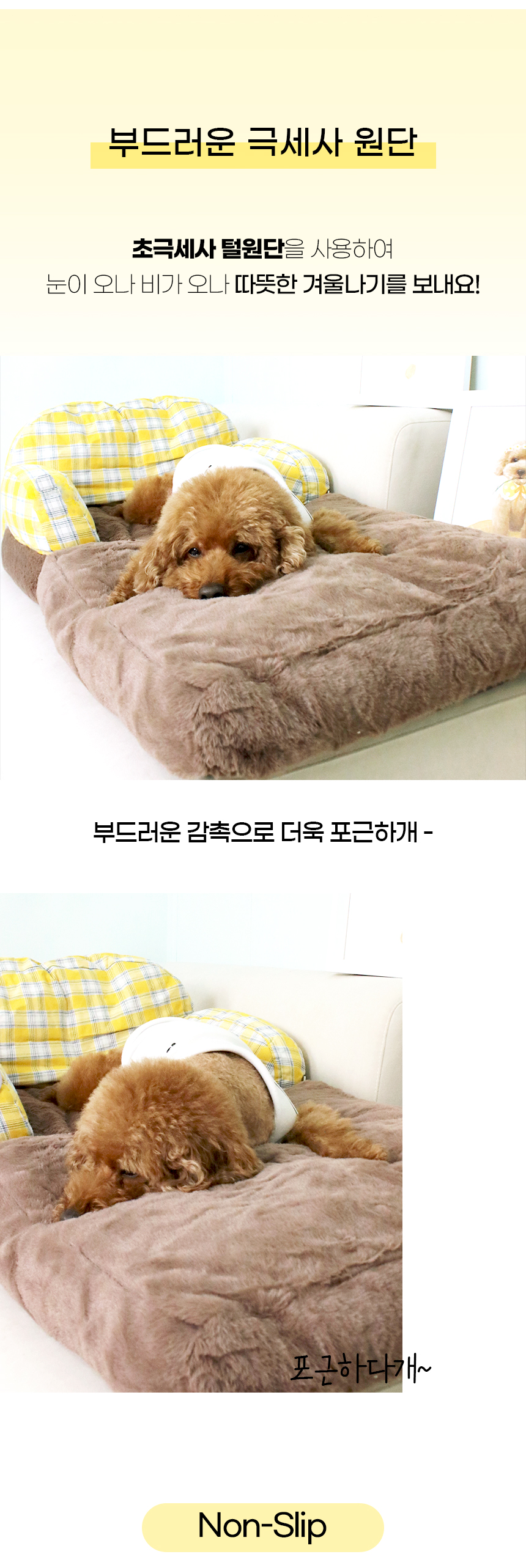 세나_일반 (7).jpg