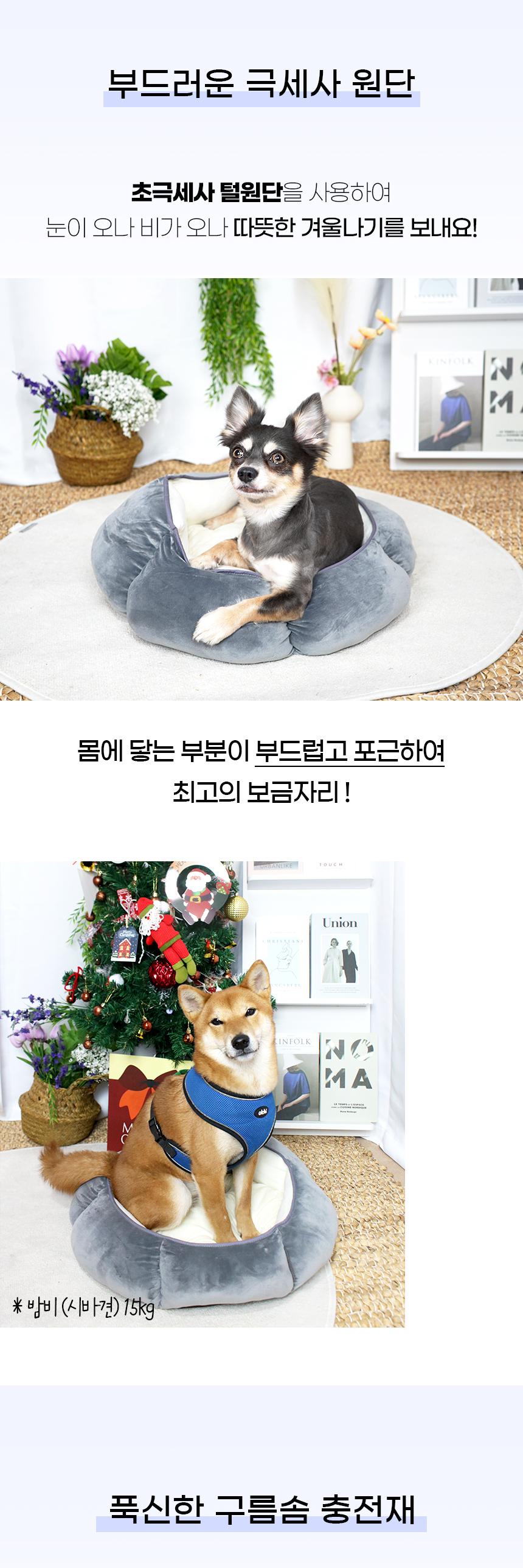 퐁시쿠션_일반 (7).jpg