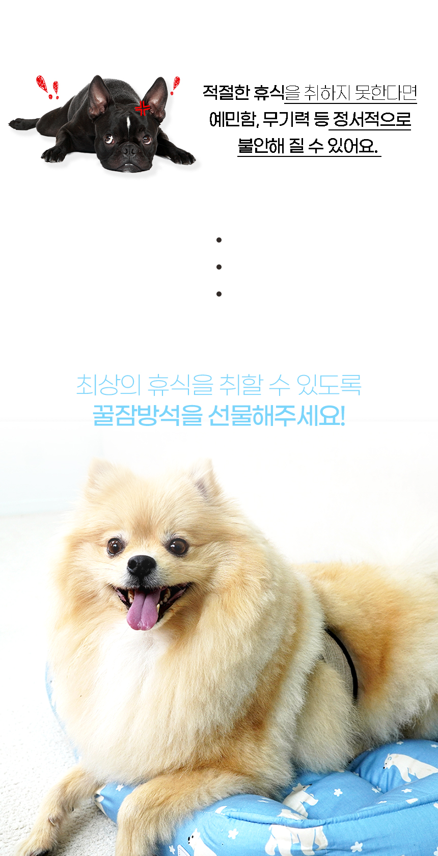 푸스방석_일반 (3).jpg