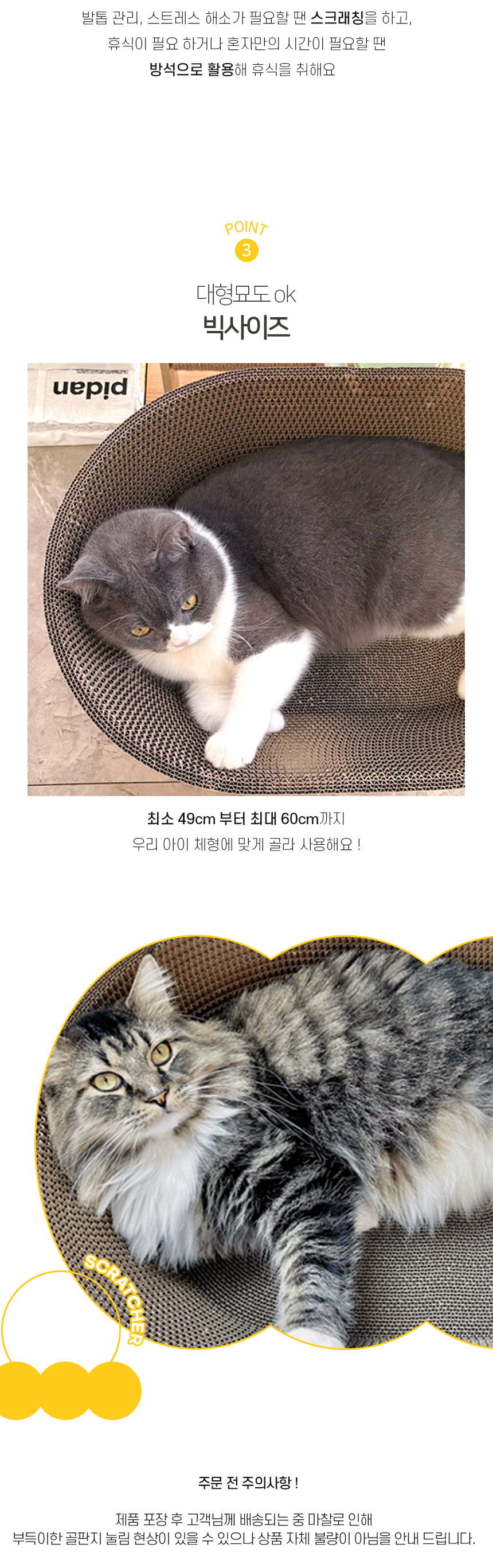 에이빈스크래쳐_05.jpg