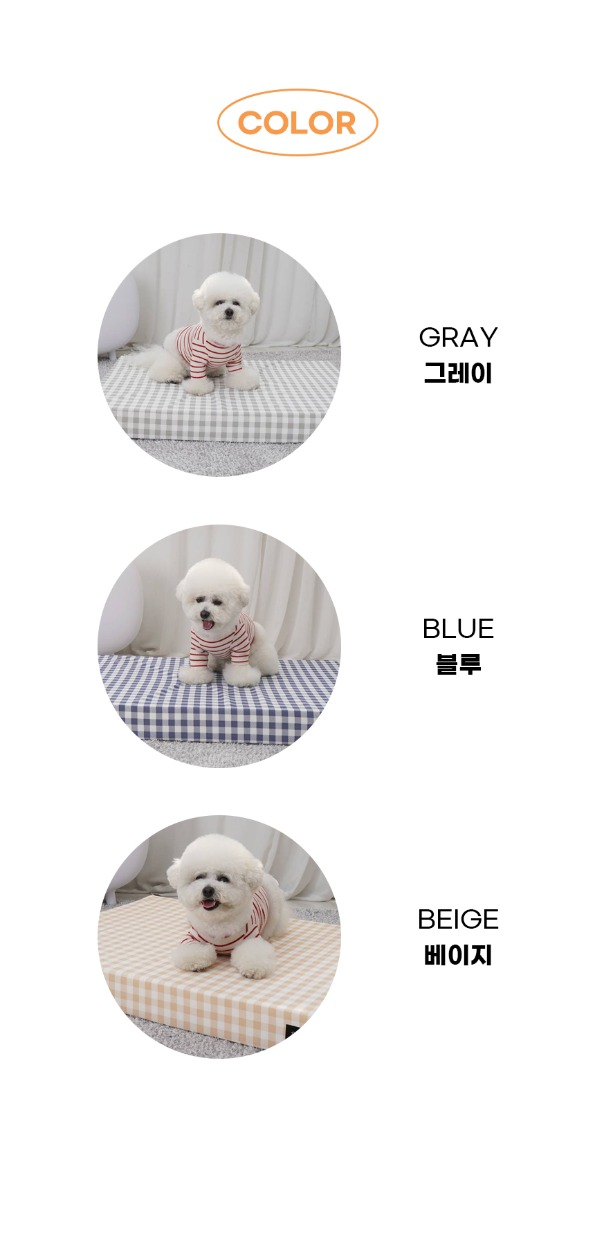 일반_10.jpg