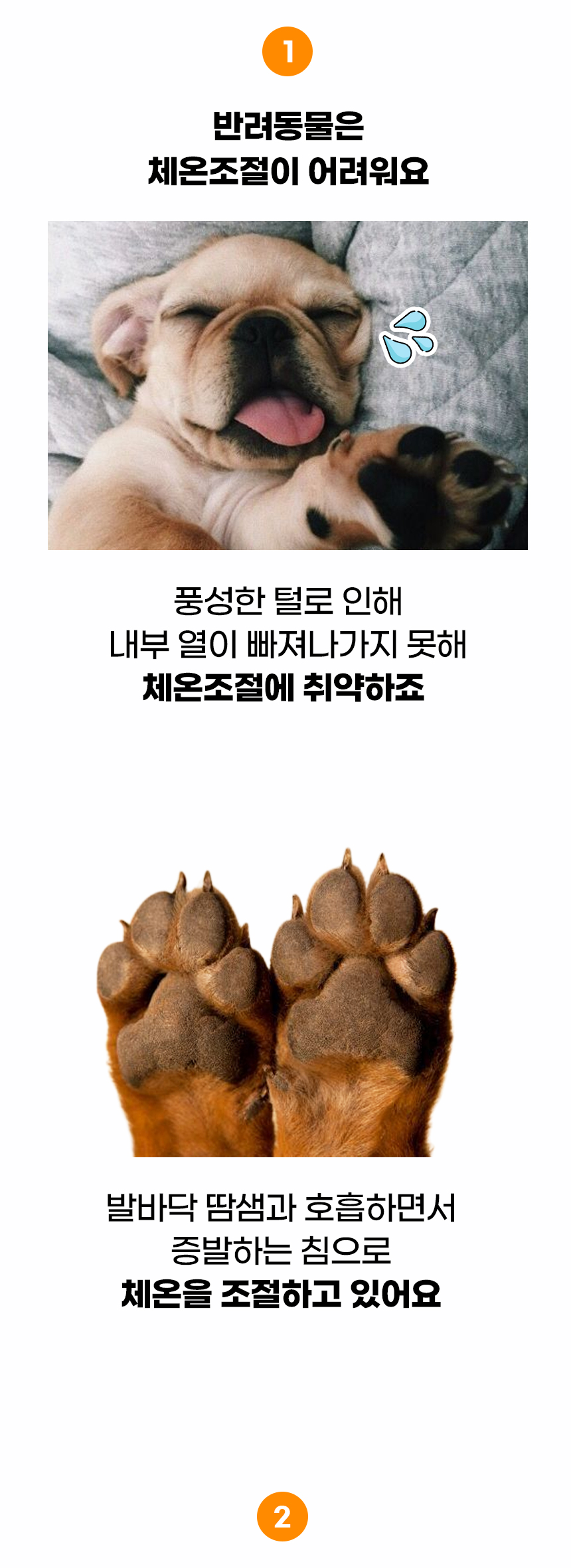코쿨일반_03.jpg