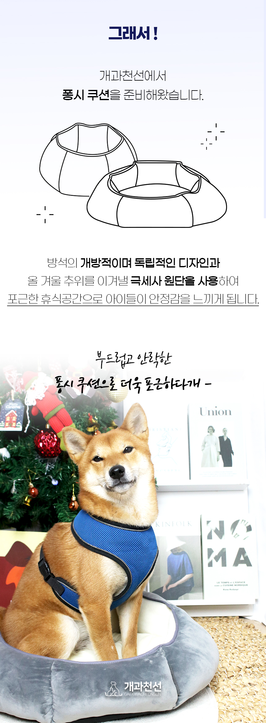 퐁시쿠션_일반 (2).jpg