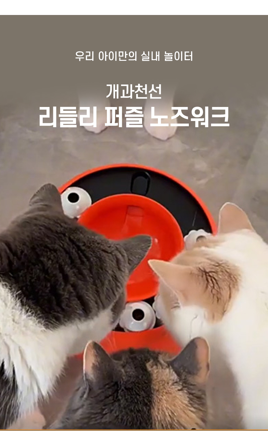 리들리퍼즐노즈워크_02.jpg