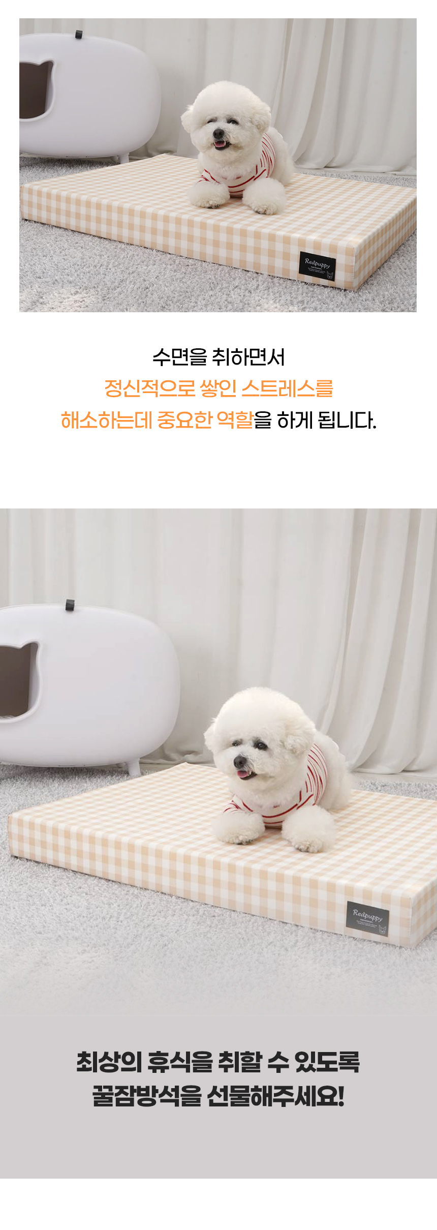 일반_06.jpg