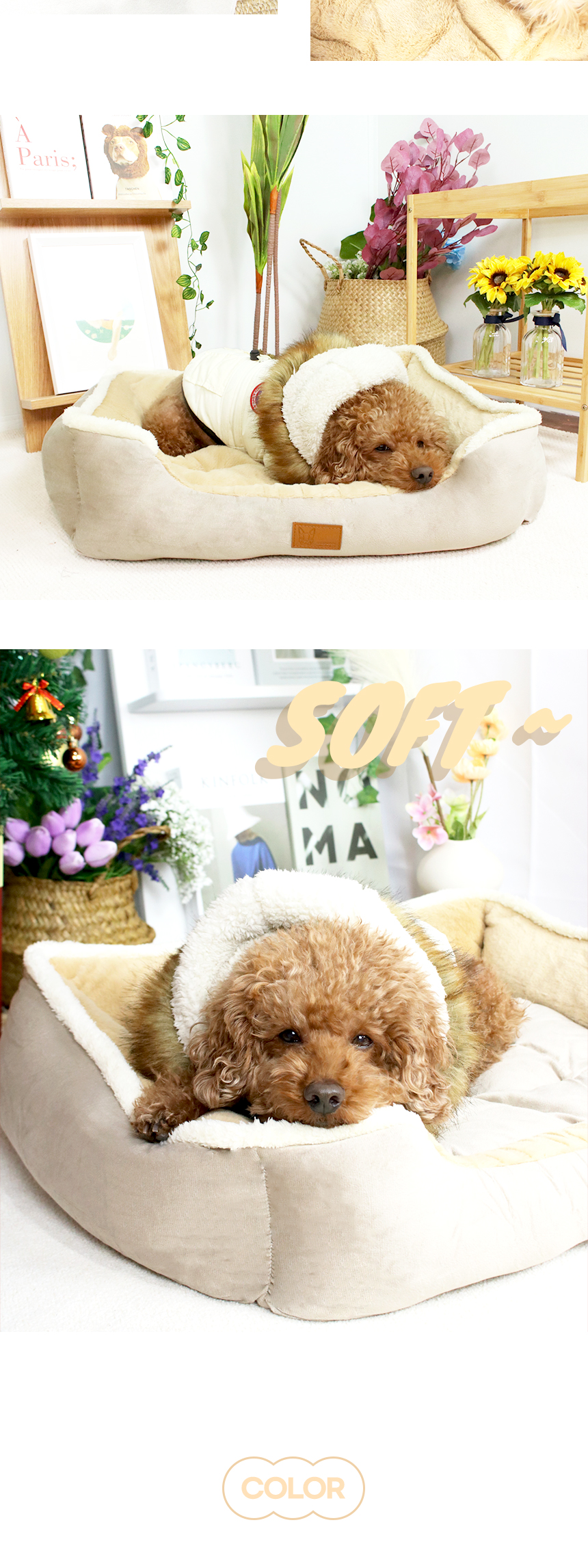 멜리퐁_일반 (10).jpg