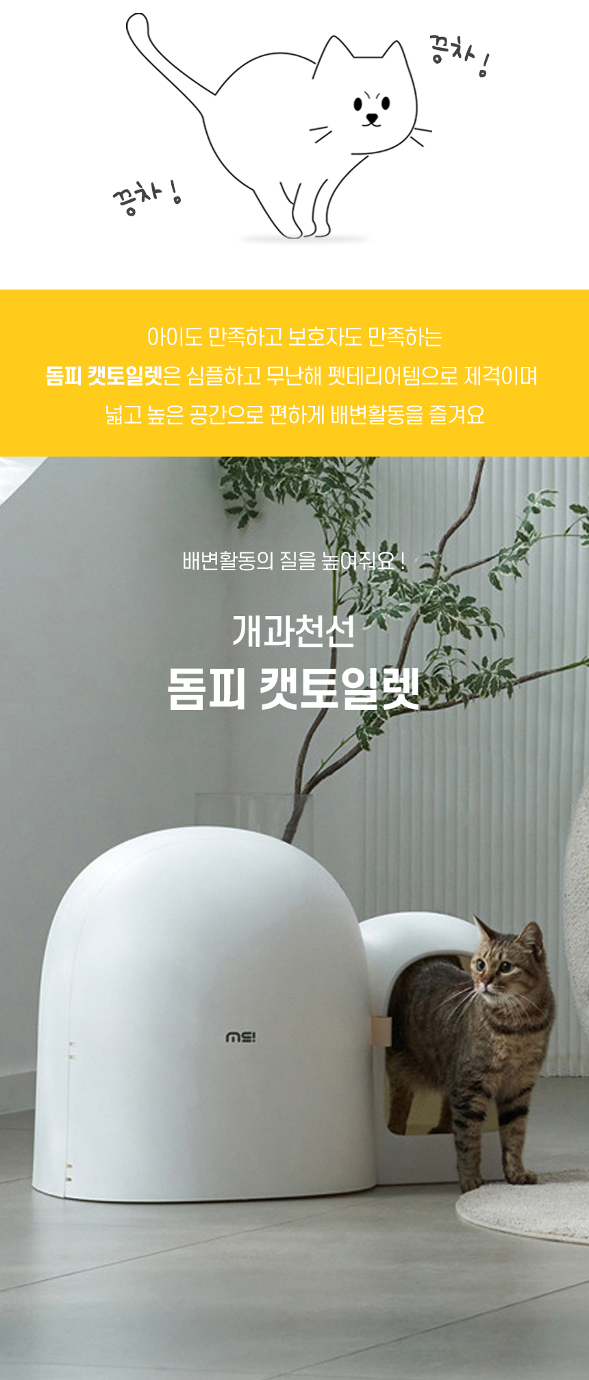 돔피캣토일렛 (2).jpg