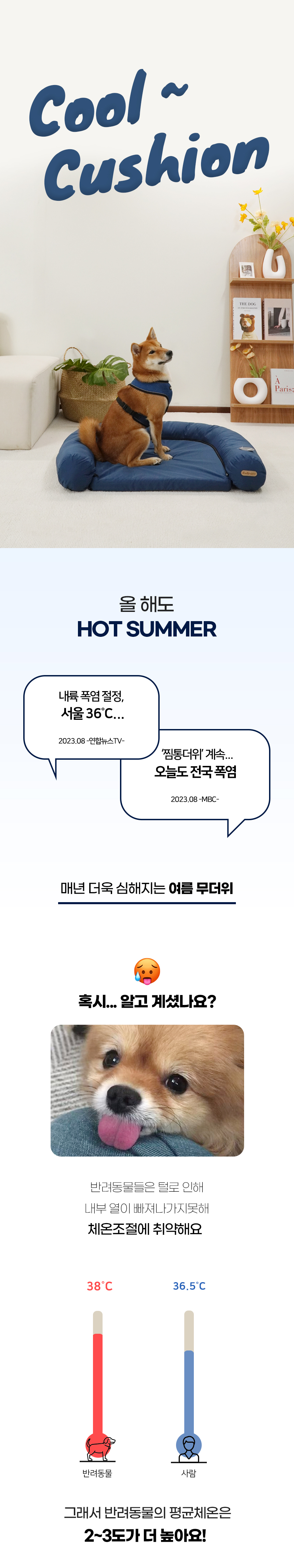 디앤비1_쿠팡_01.jpg