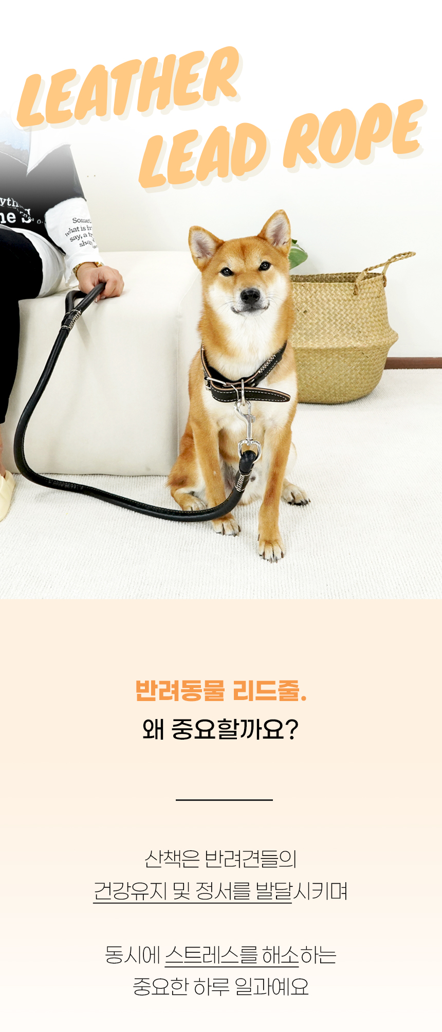 레더 리드줄_상페 (1).jpg