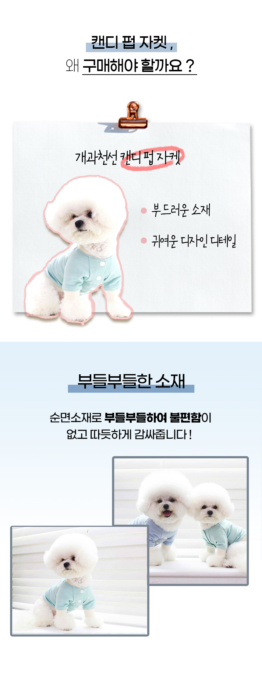 캔디펍_일반 (6).jpg