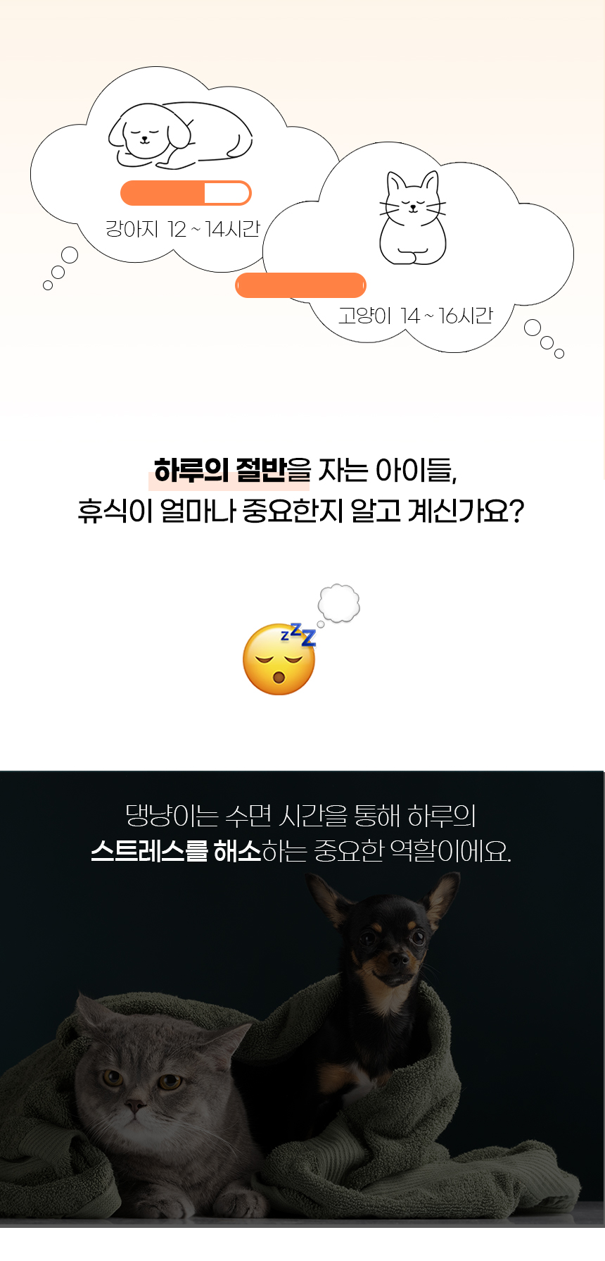 트라이빈백_일반 (2).jpg