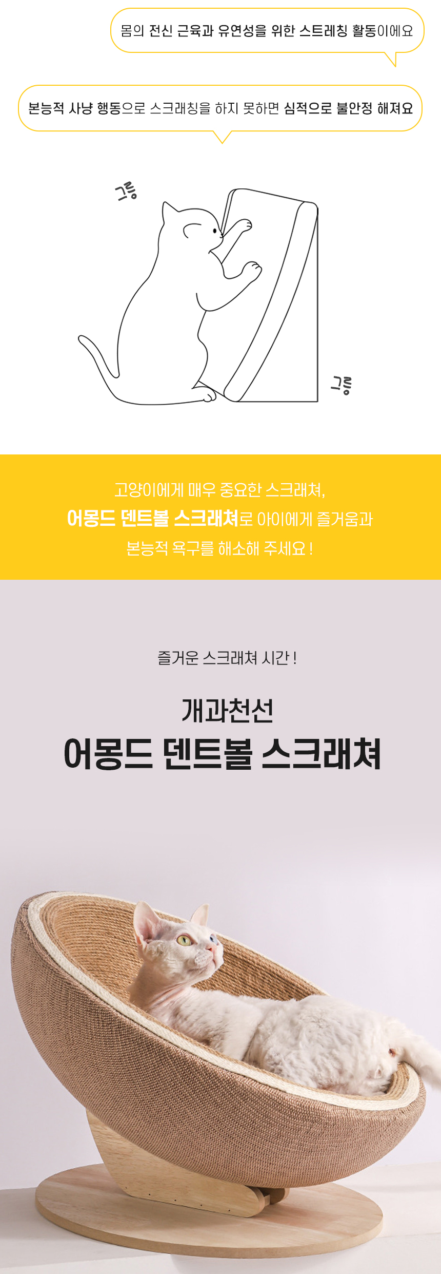 덴트볼스크래쳐_02.jpg
