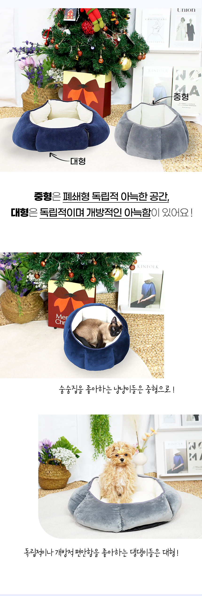 퐁시쿠션_일반 (9).jpg