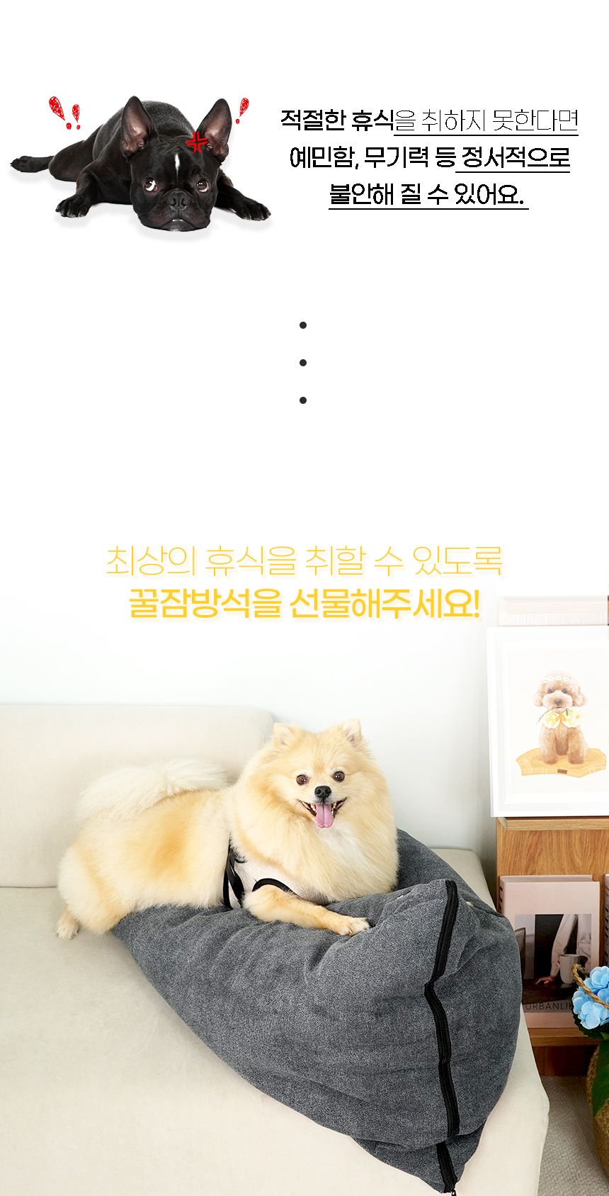 트라이빈백_일반 (3).jpg