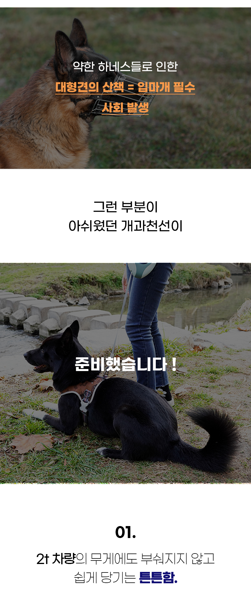 트라이_일반 (3).jpg