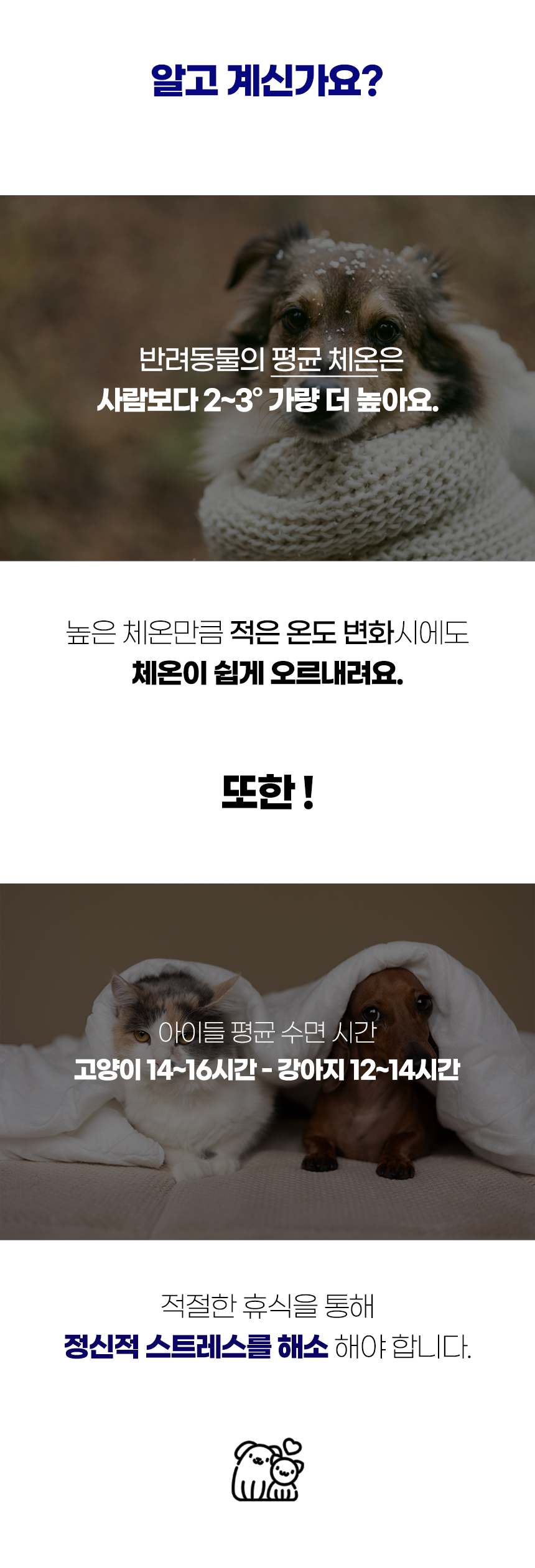 허그팟방석1_02.jpg