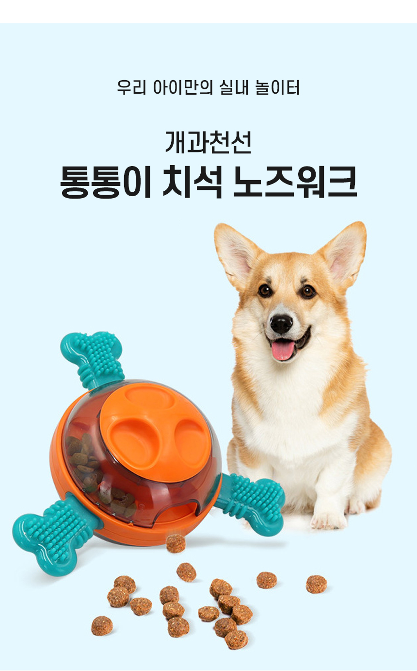통통이치석노즈워크_02.jpg