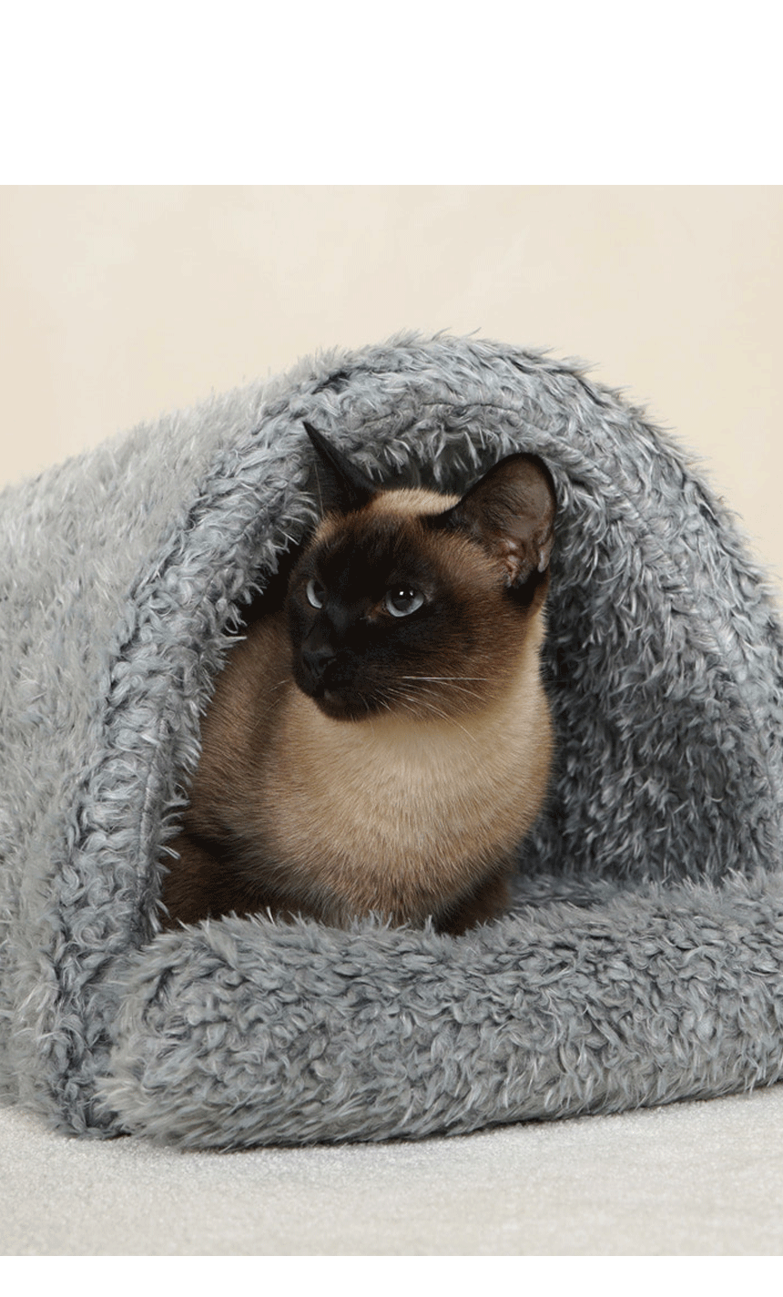 캐미시 하우스 (7).gif