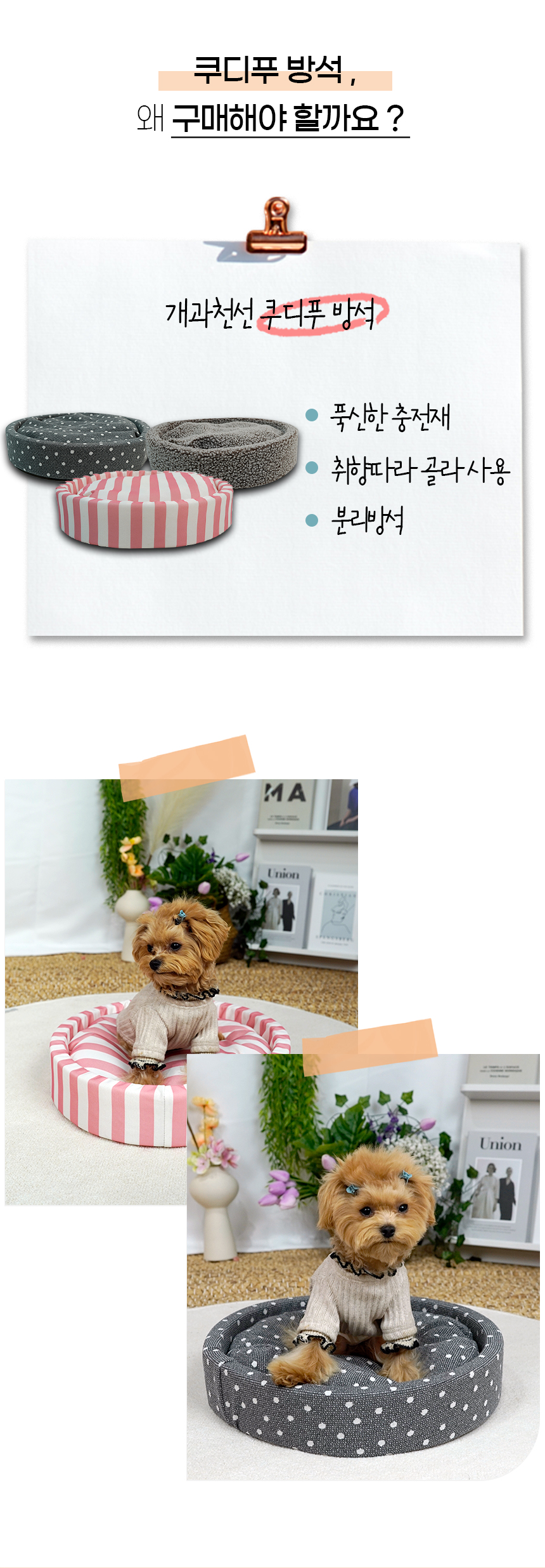 쿠디푸-방석_06.jpg