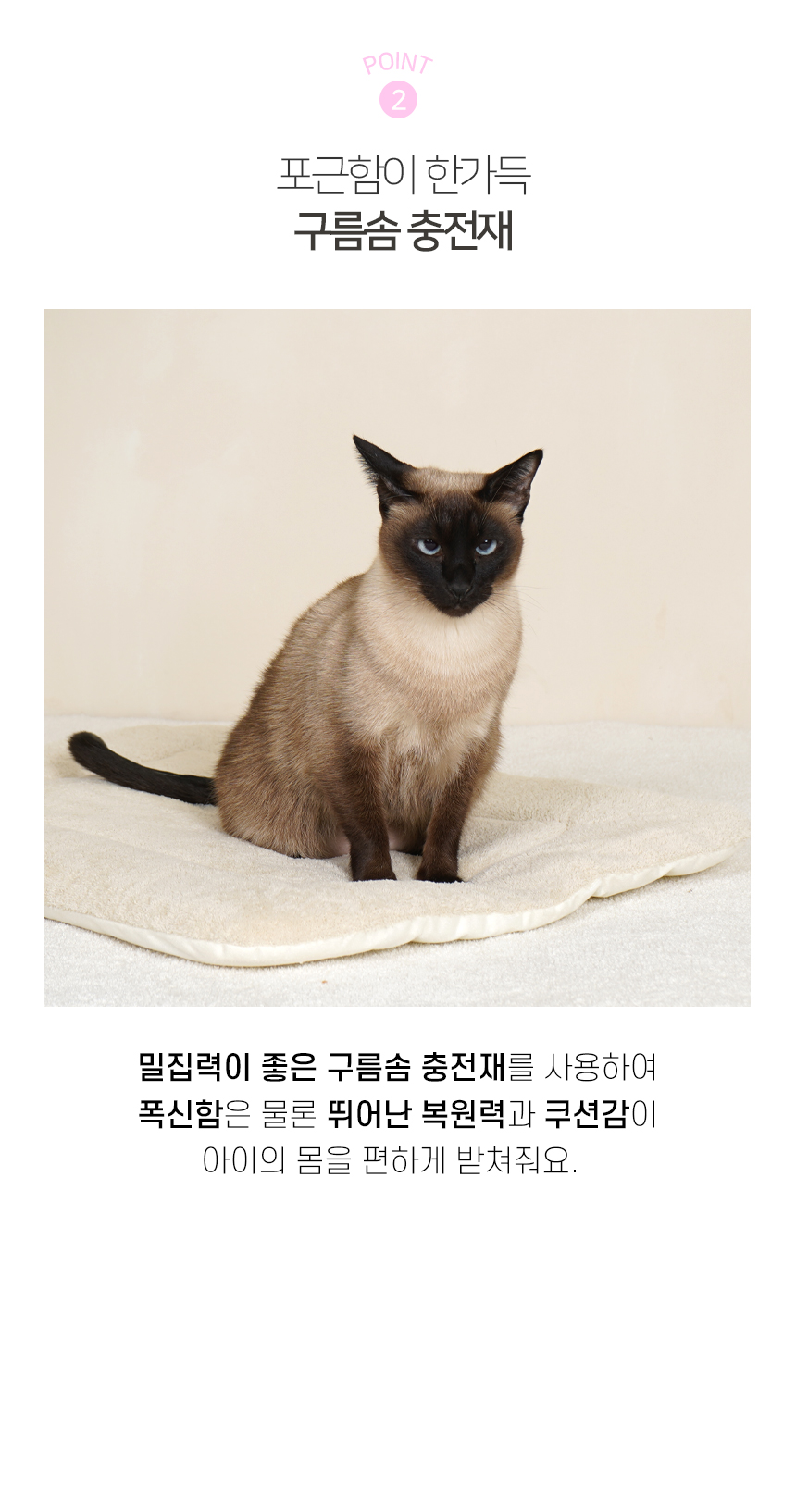 캔버스 쿠션 (5).jpg