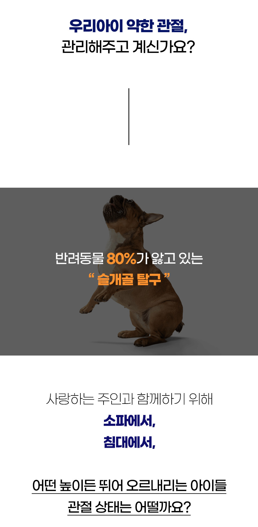 플로랄 (2).jpg