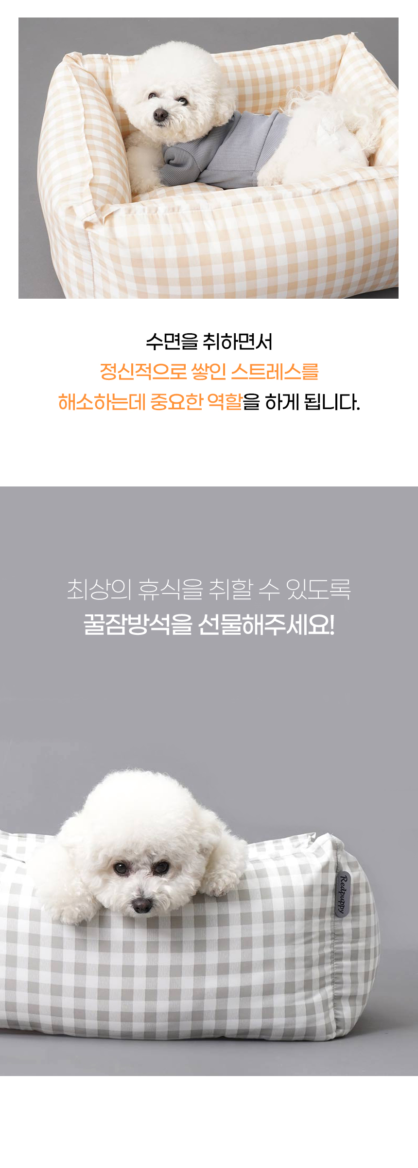 일반_06.jpg