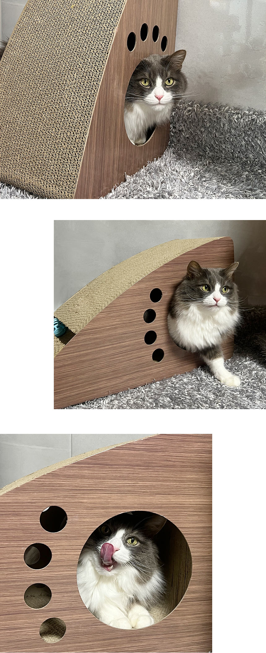 키츠스크래쳐_ (9).jpg