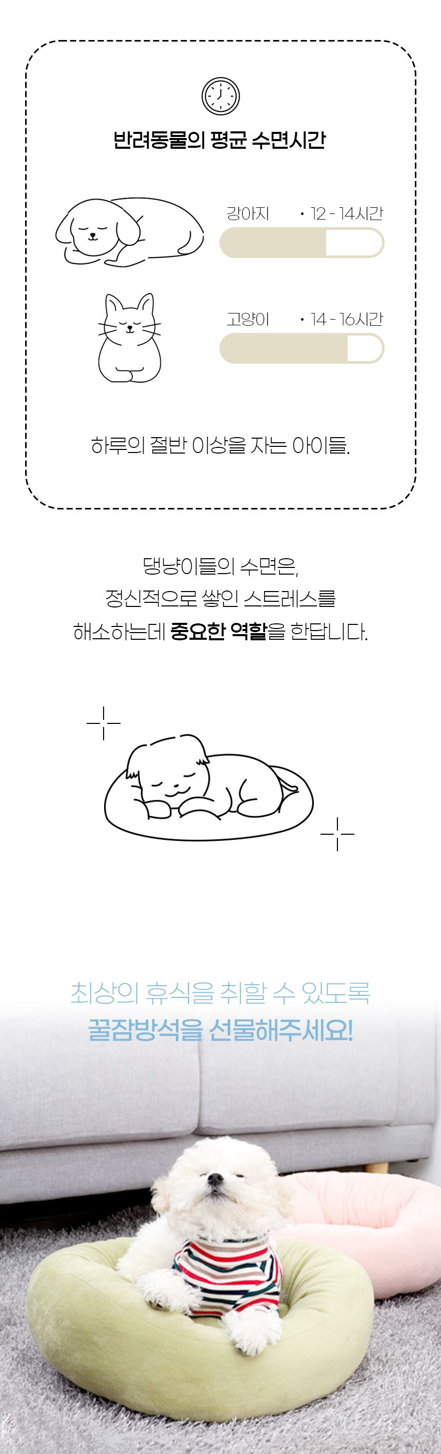 엠워니-펫원방석_몰리-스토리-원방석_02.jpg