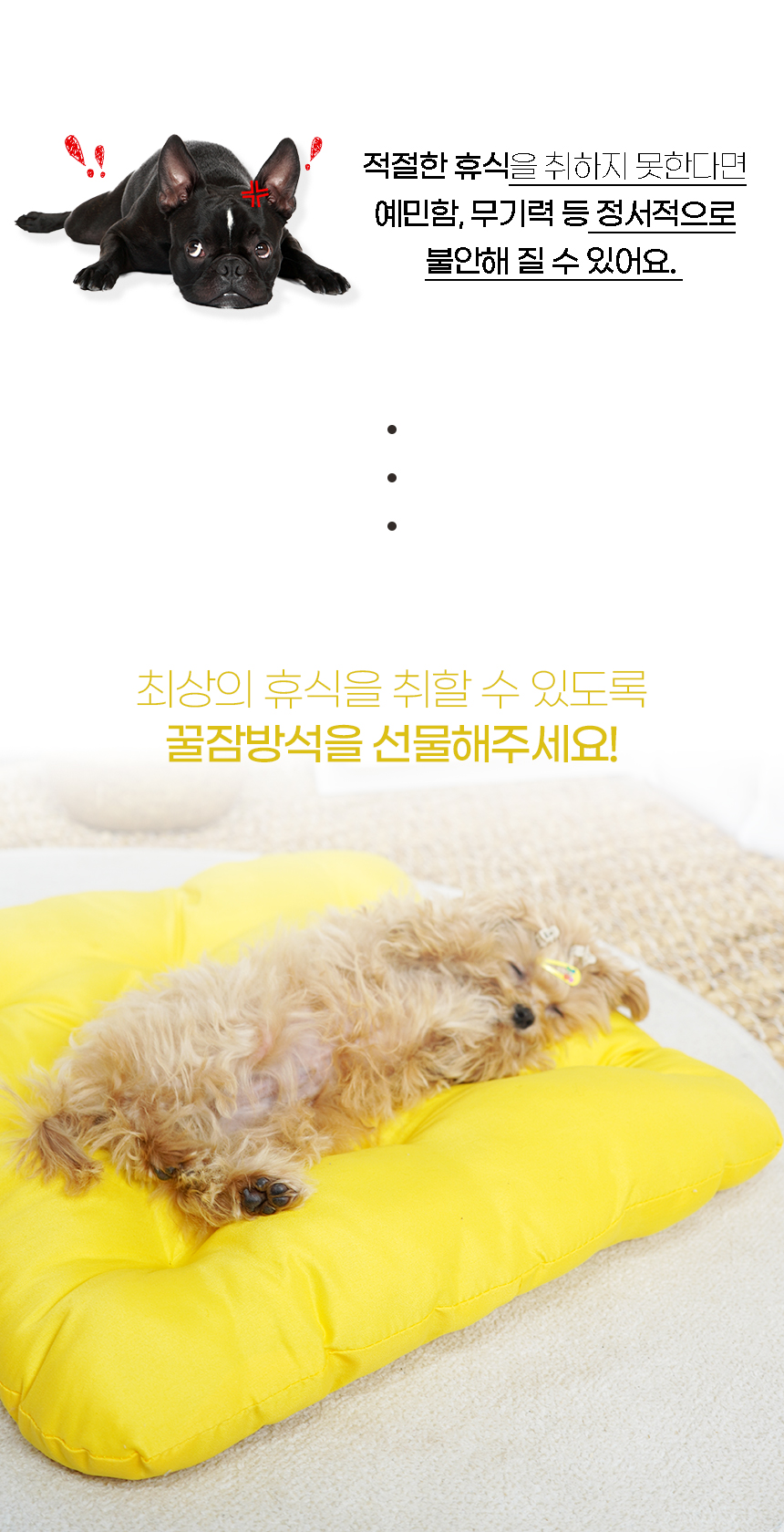 1_03.jpg