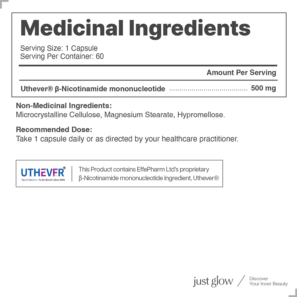 NMN 500MG 상세페이지_23.png