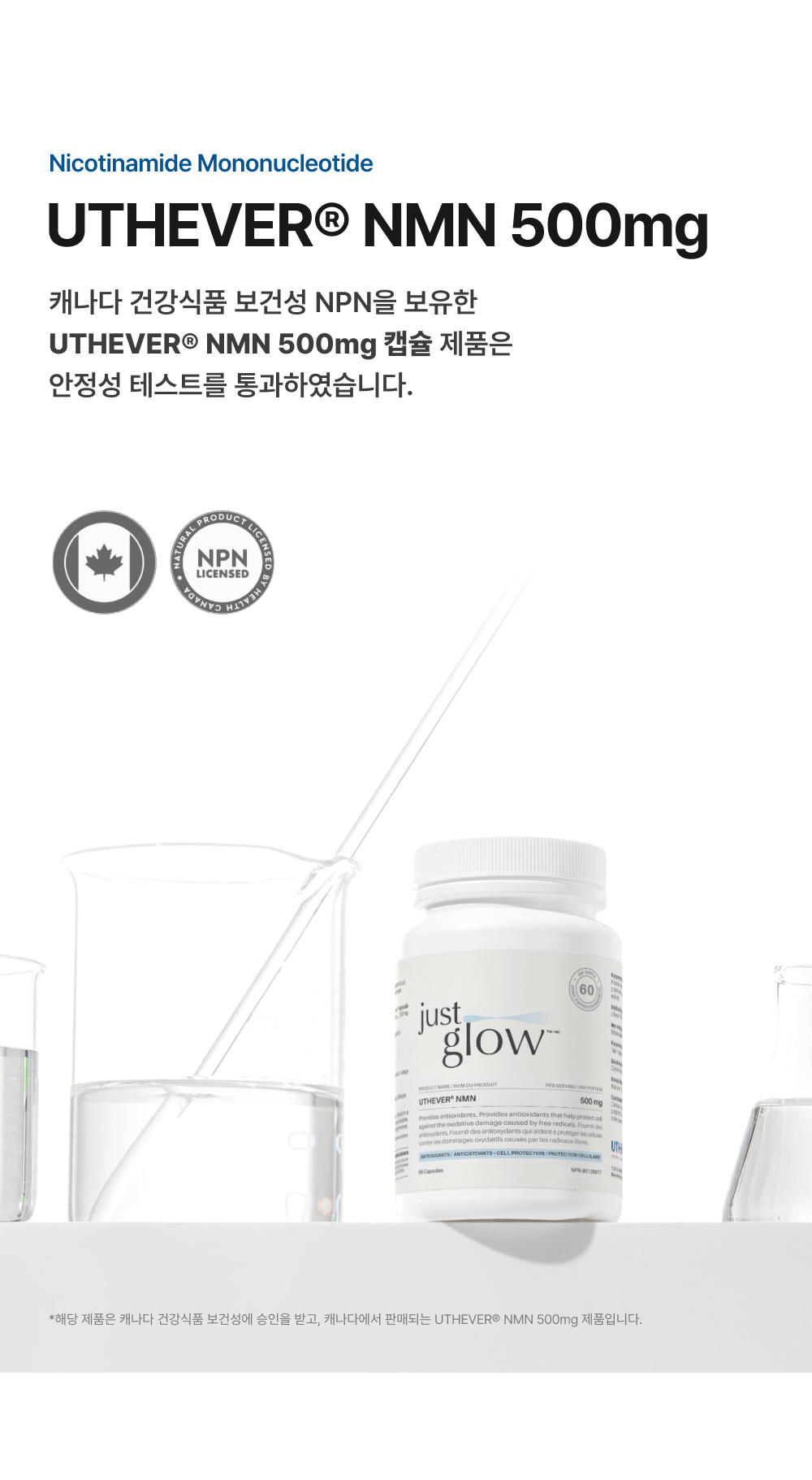 NMN 500MG 상세페이지_5.png