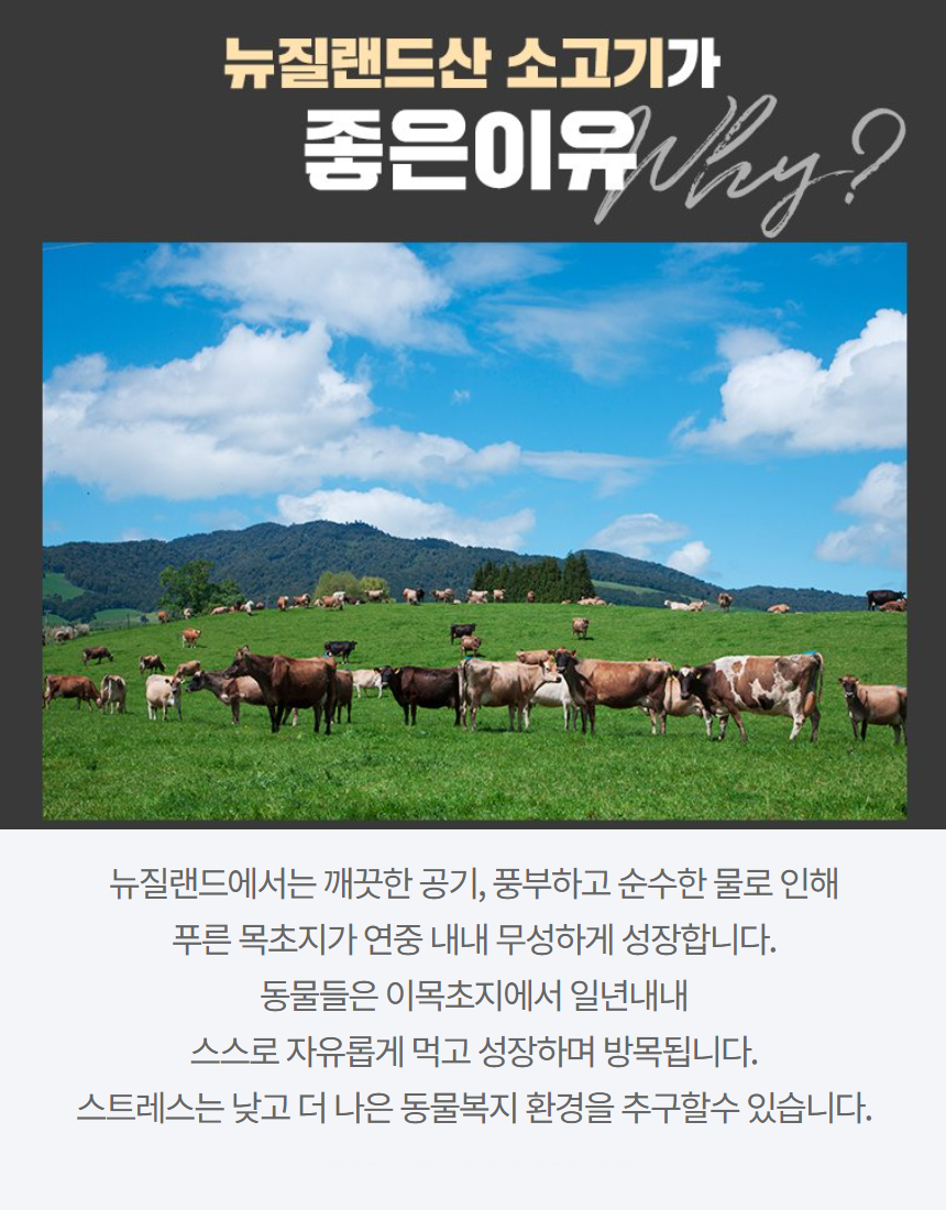 뉴질랜드 안심 스테이크 4.png