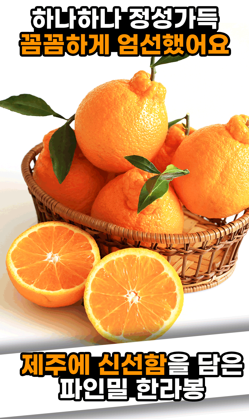 한라봉 분할 (8).gif