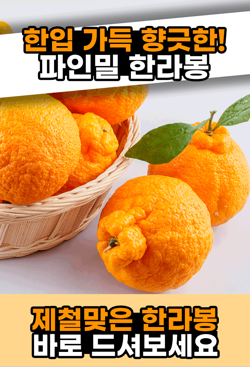 한라봉 분할 (6).gif