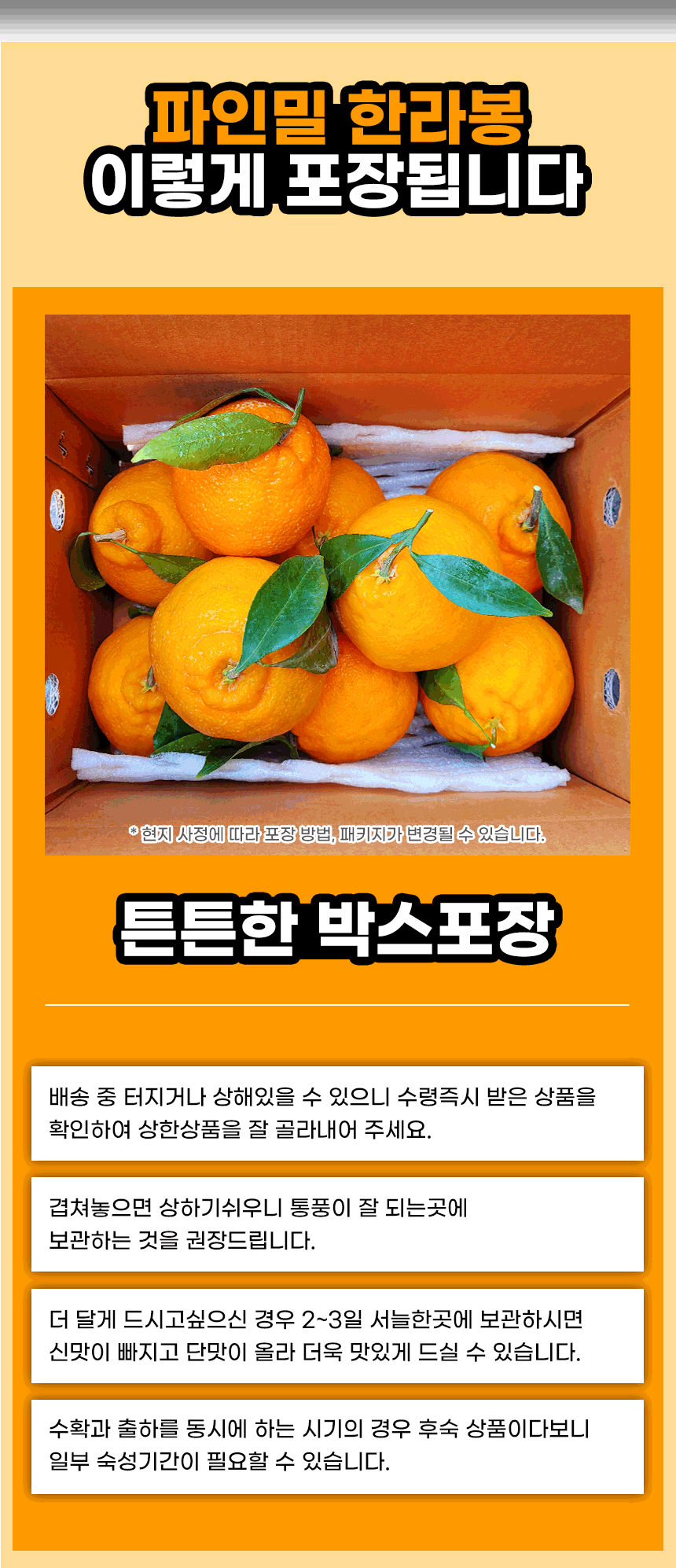 한라봉 분할 (9).gif