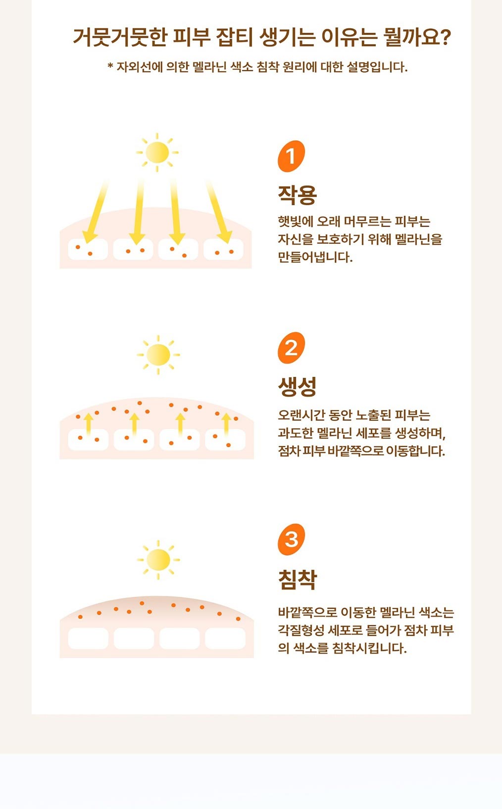 Mela cream_04.jpg