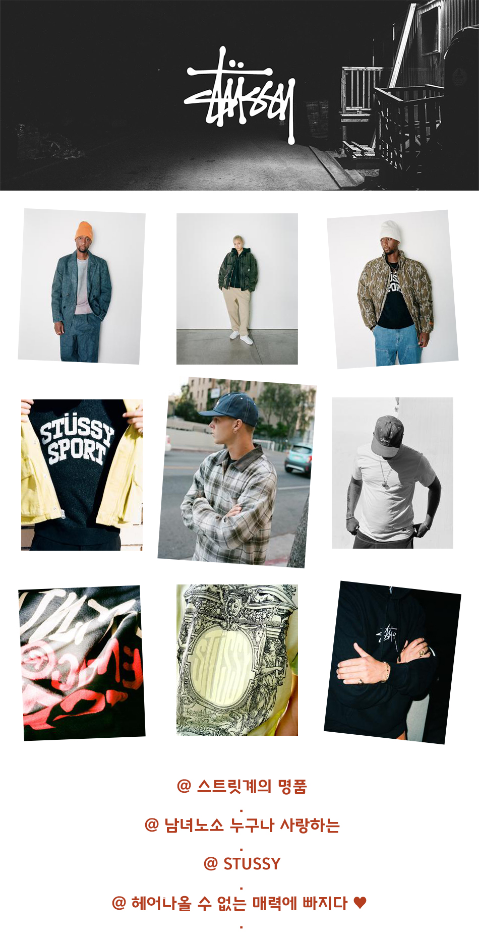 ������ ��Ʈ��.jpg