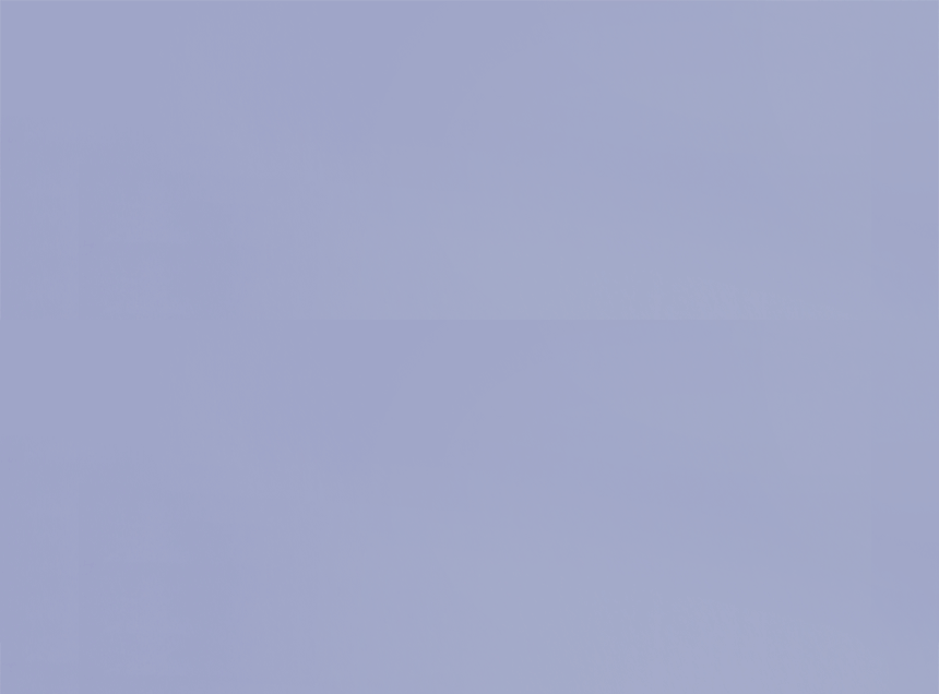 2025_sham_21.gif