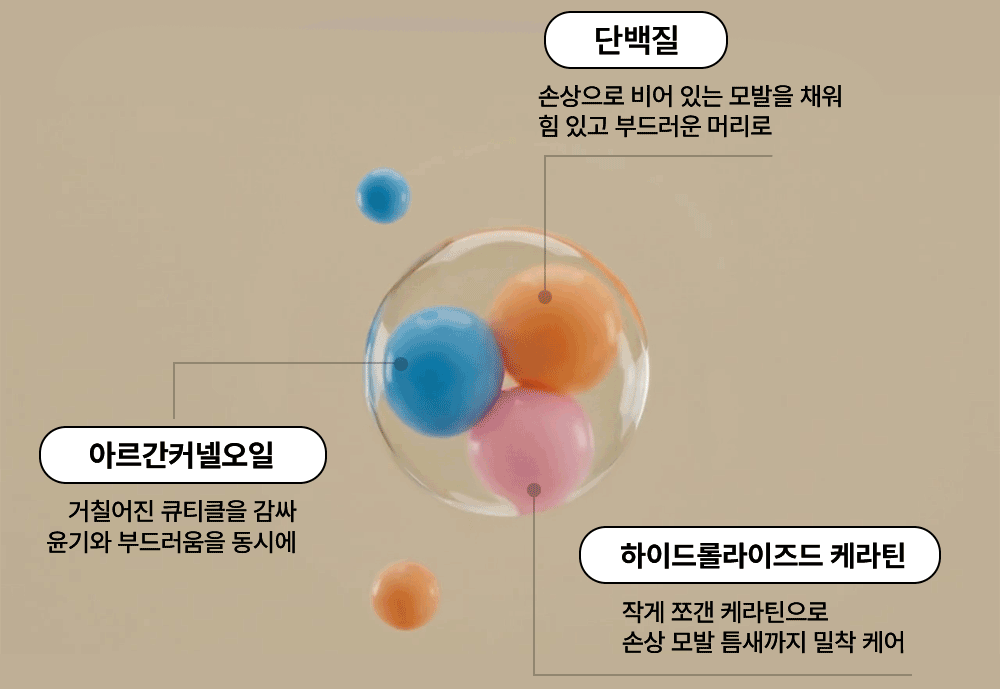 프로_트리트_1000-23.gif
