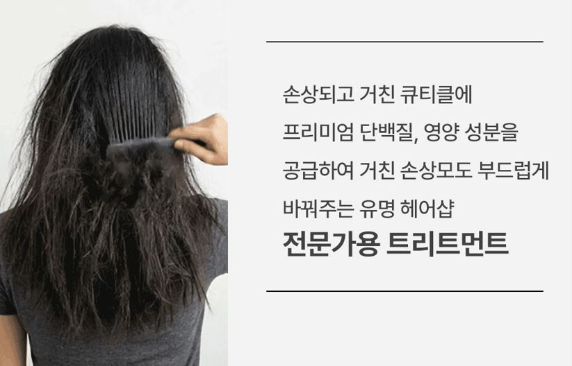 프로_트리트_1000-25 이미지.jpg