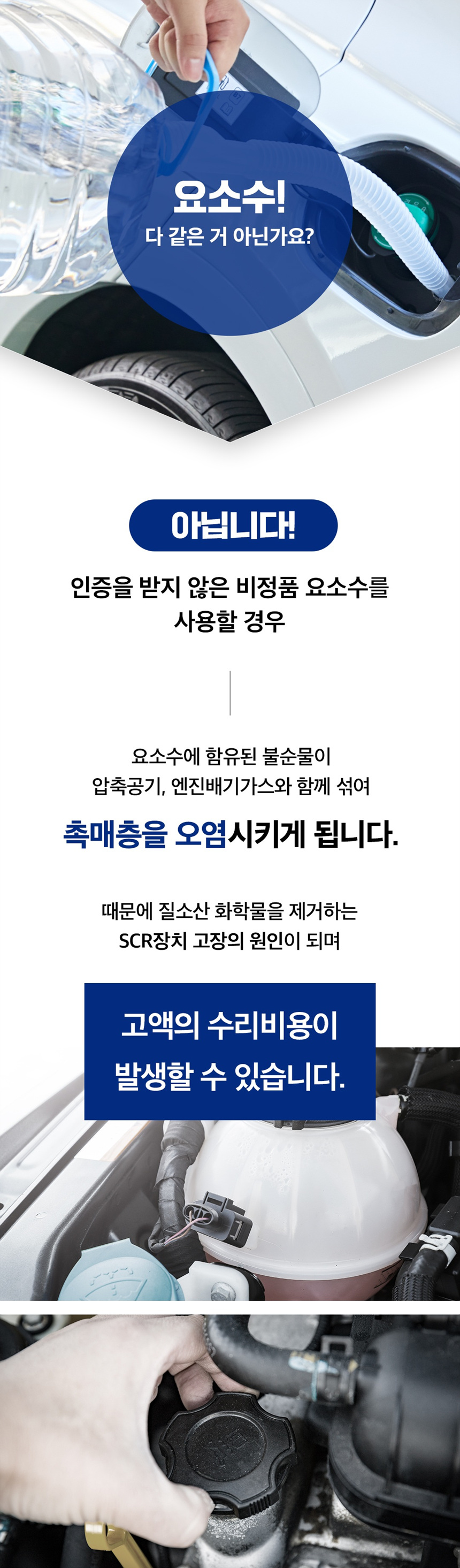 페트 3.jpg