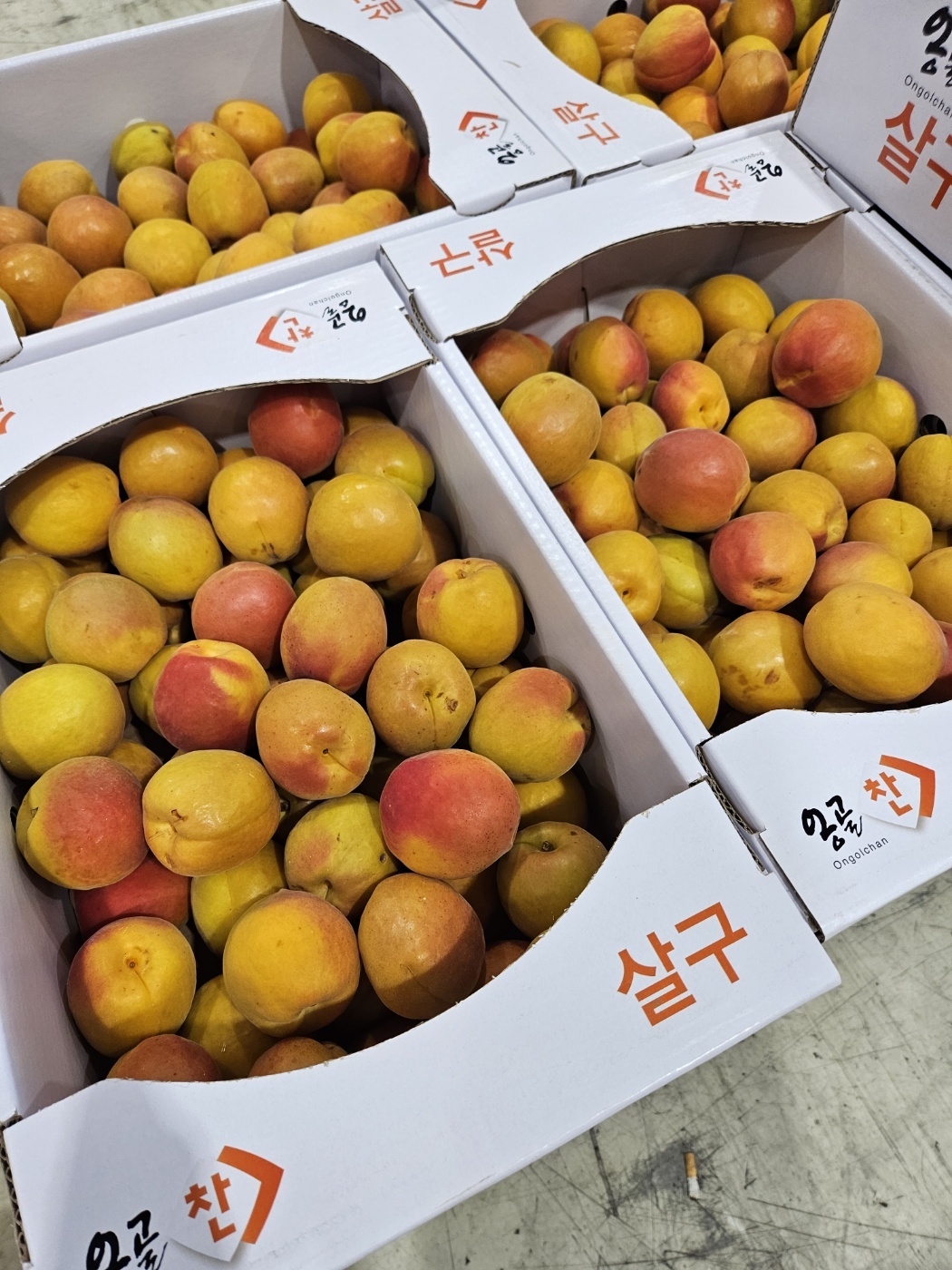 KakaoTalk_20250614_124052695.jpg