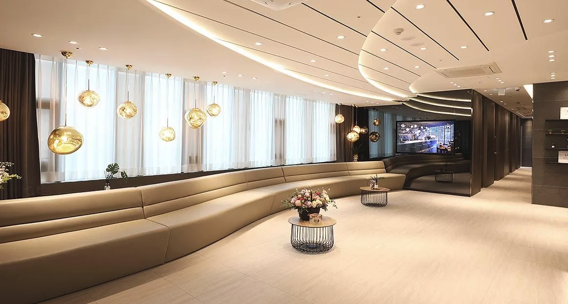 IV drip therapy clinic Gangnam Seoul - Cinderella Injection and Garlic Injection